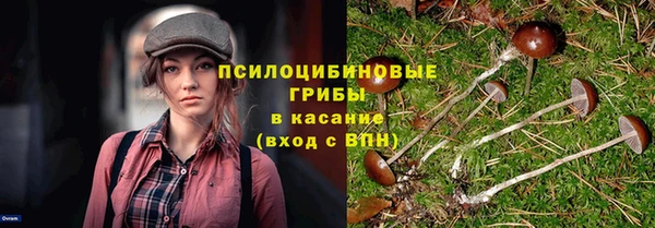 apvp Нязепетровск