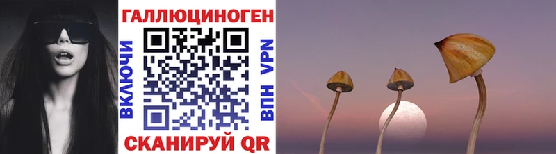 Псилоцибиновые грибы GOLDEN TEACHER  Туапсе 