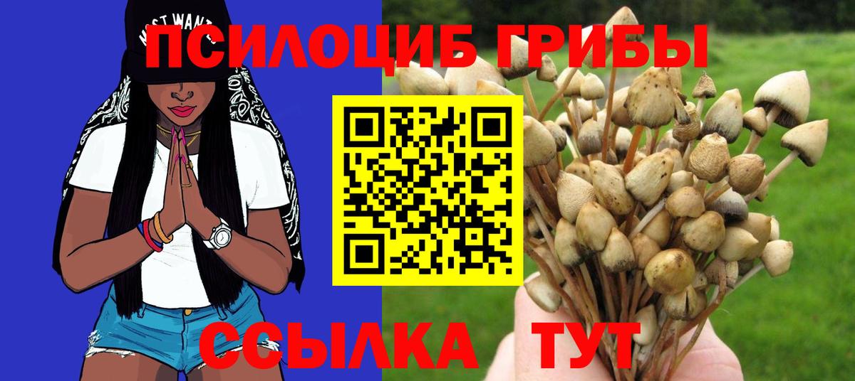 Туапсе  Псилоцибиновые грибы Magic Shrooms  Вход с VPN 
